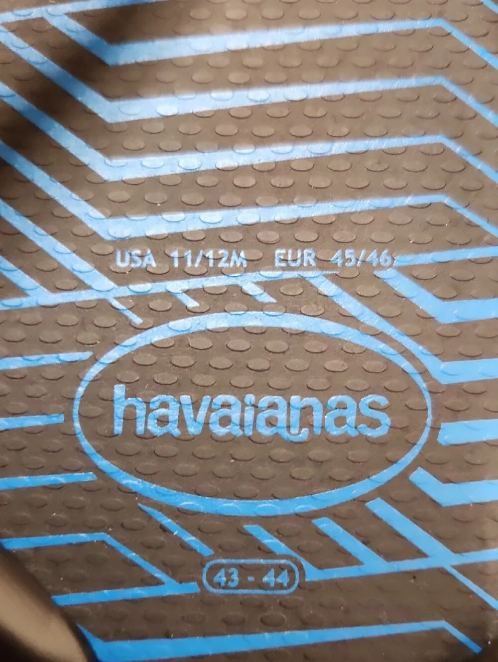 Havaianas Men's Black & Blue Flip Flops